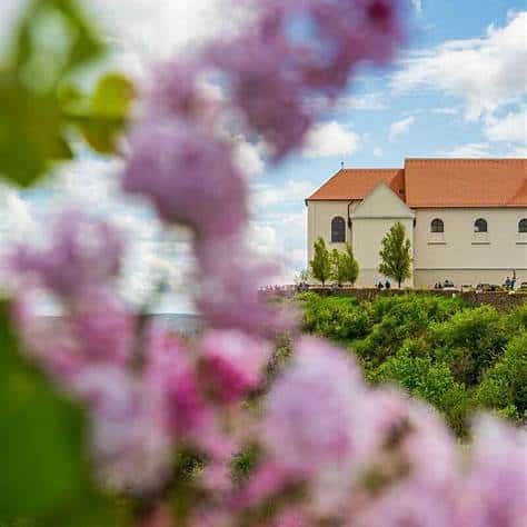 Lake Balaton North Shore