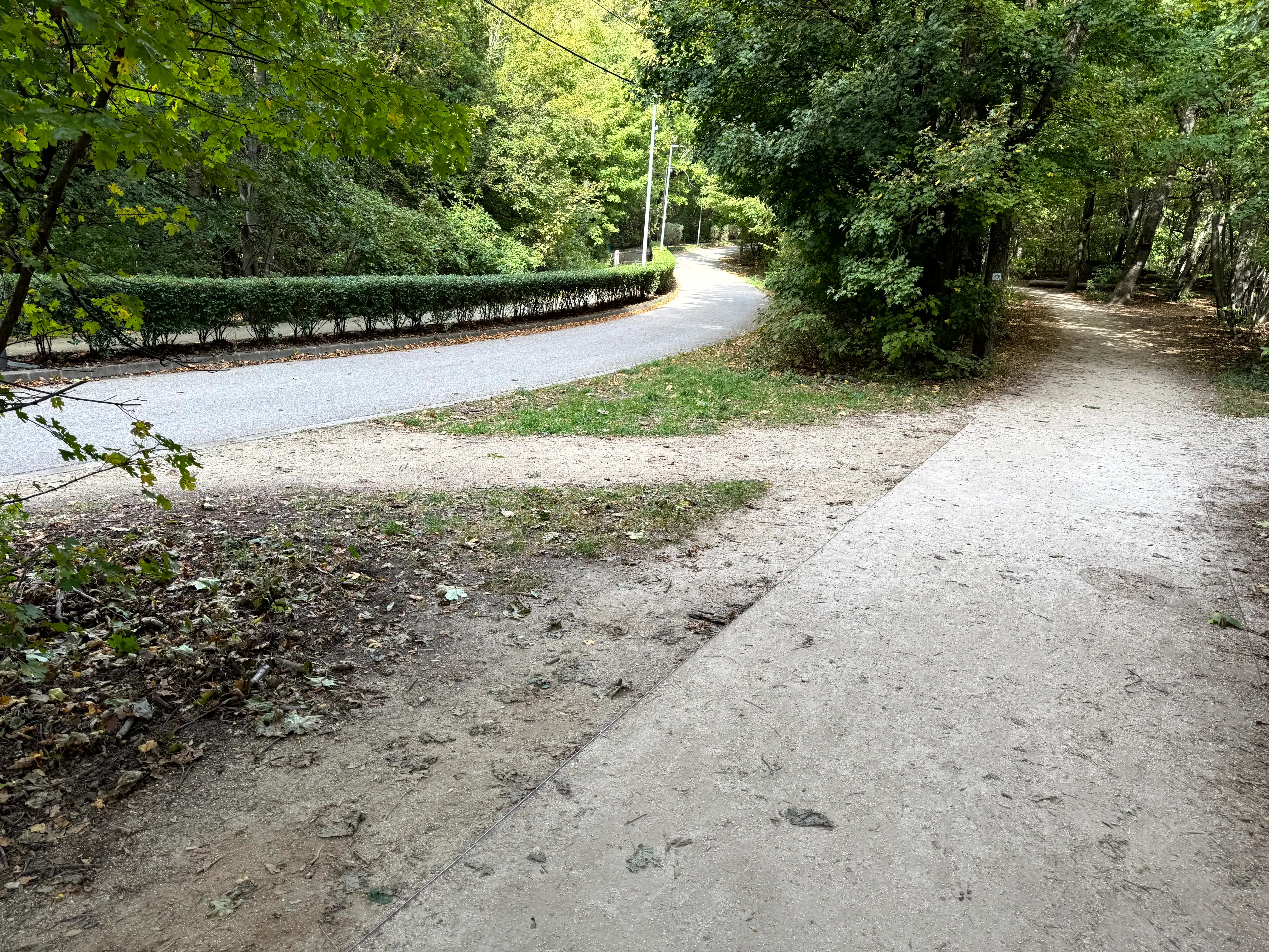 A child railway worker signaling a train at a Buda Hills station