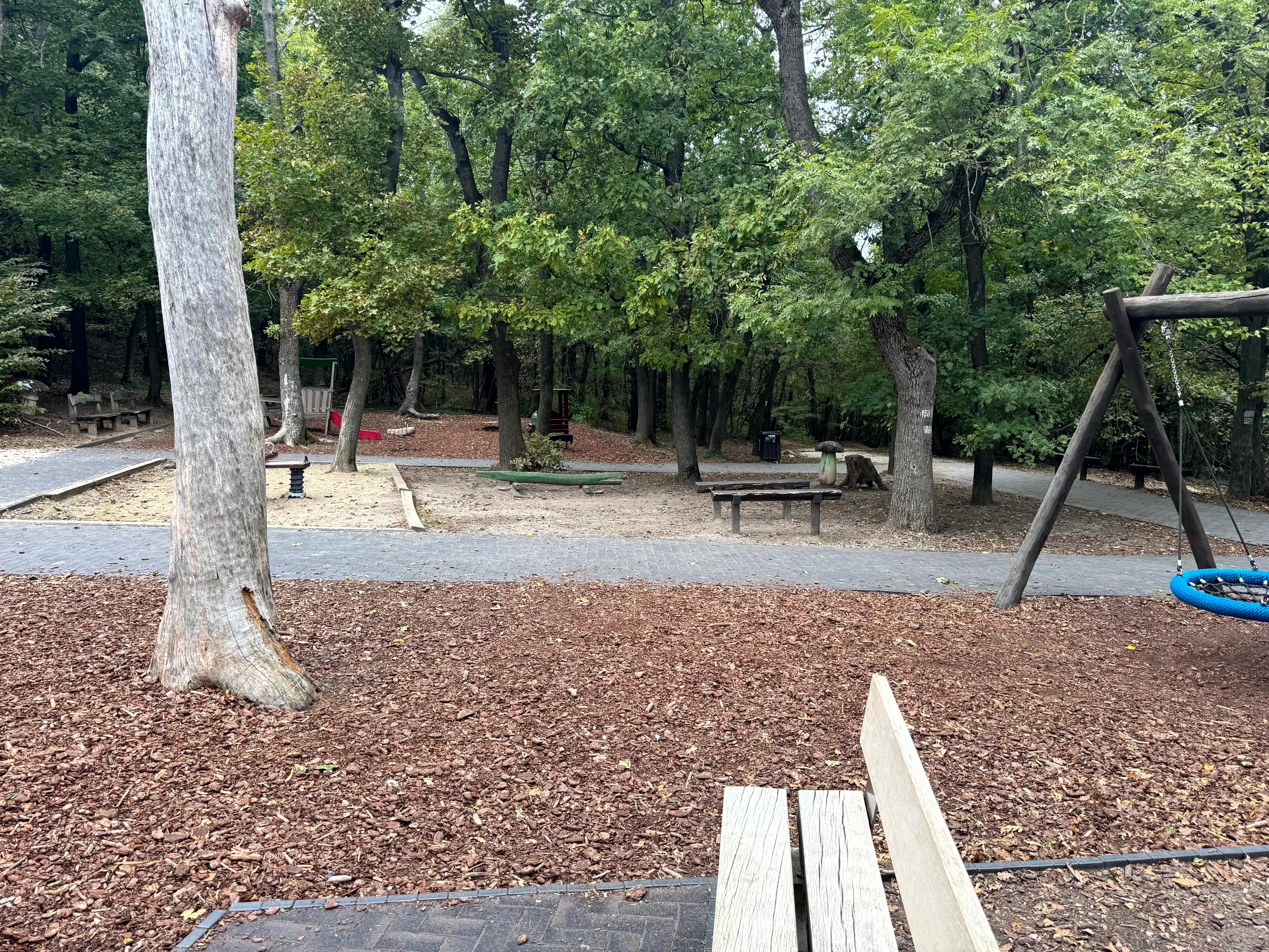 Playground in a park with trees and swings in Budapest.
