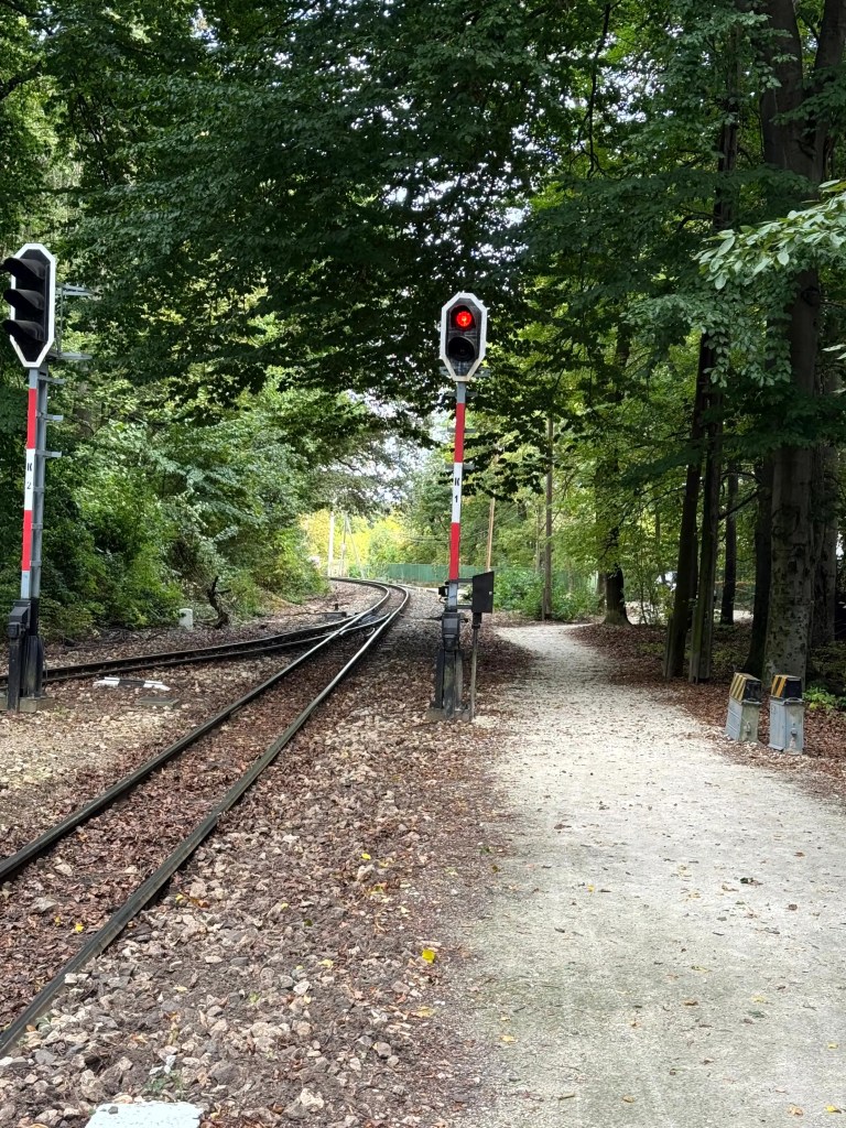 Budapest Children’s Railway 2026: the Buda Hills’ most unique day out — a complete guide with service logic, ticket prices, stops, and itineraries