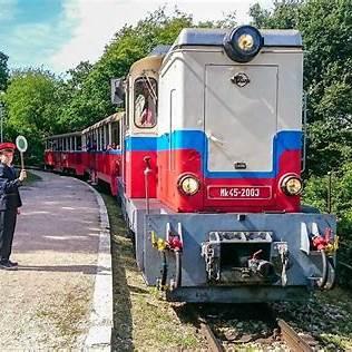Classic Hungarian train at station with lush greenery in background.