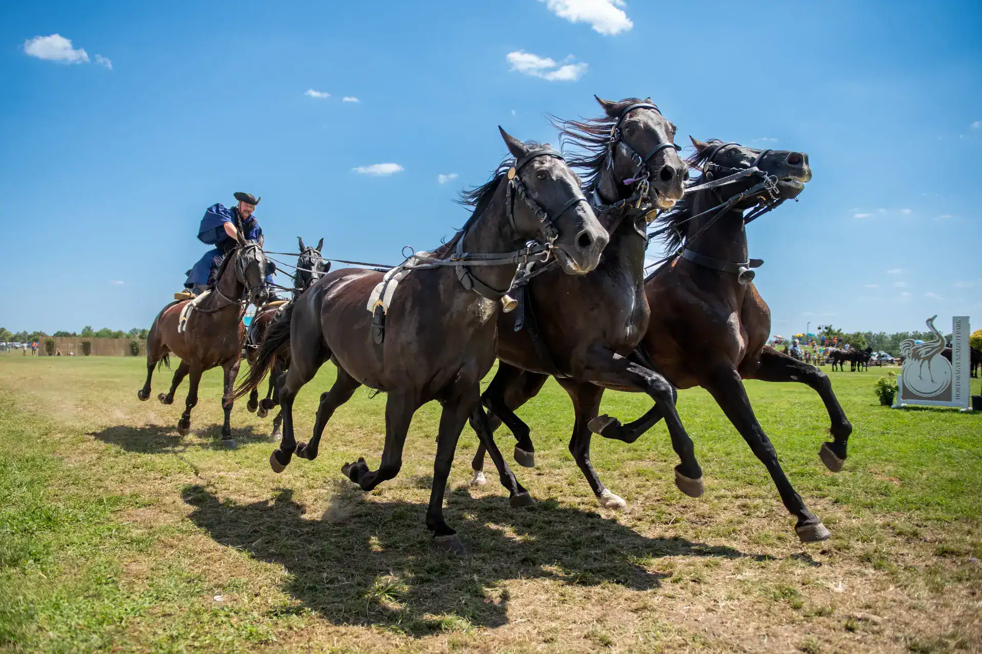 Horse racing in Hungary with jockeys competing on a sunny day.