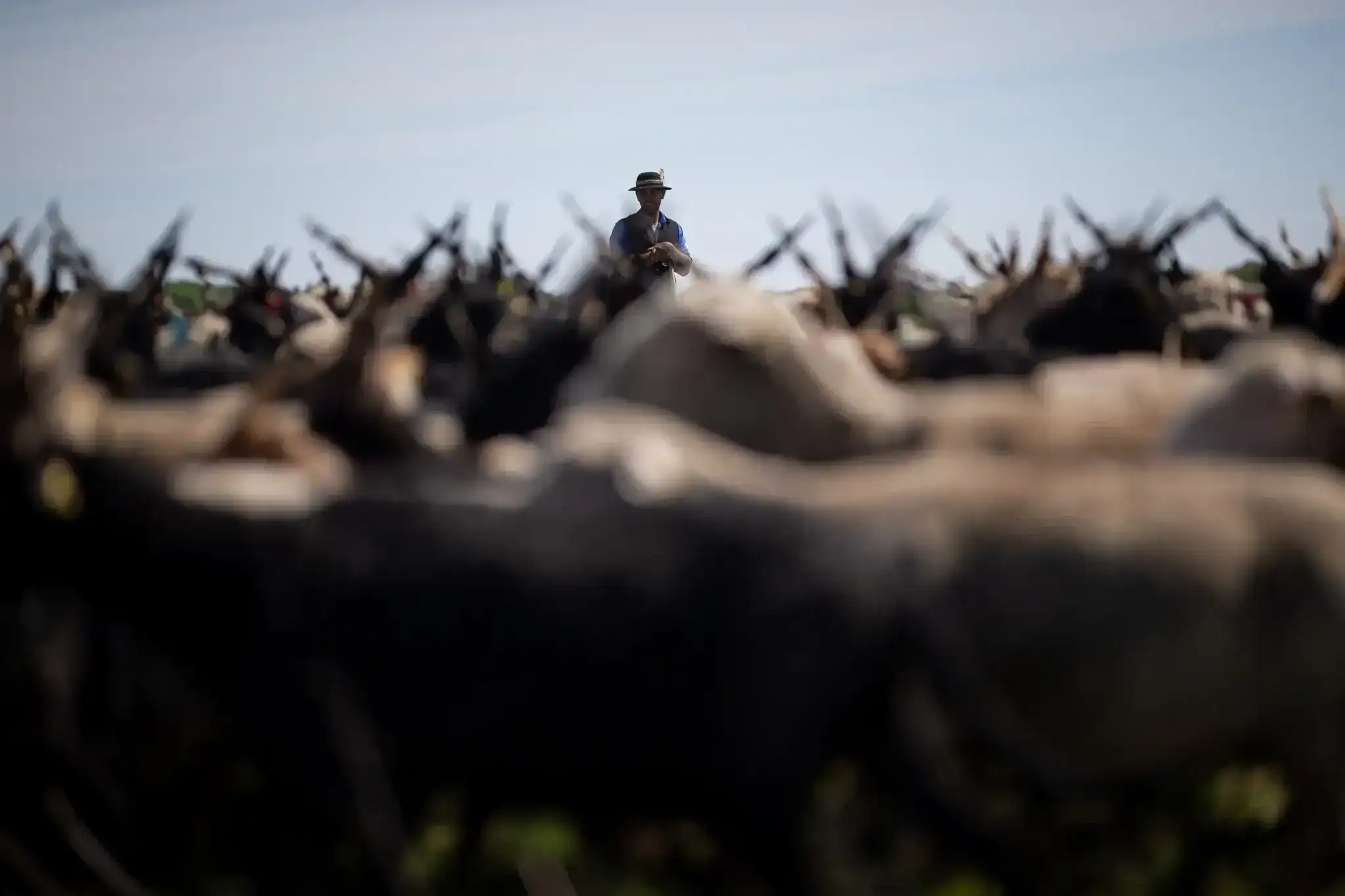 Private airport and group bus transfer services in Hungary by Van Budapest. Reliable transportation.