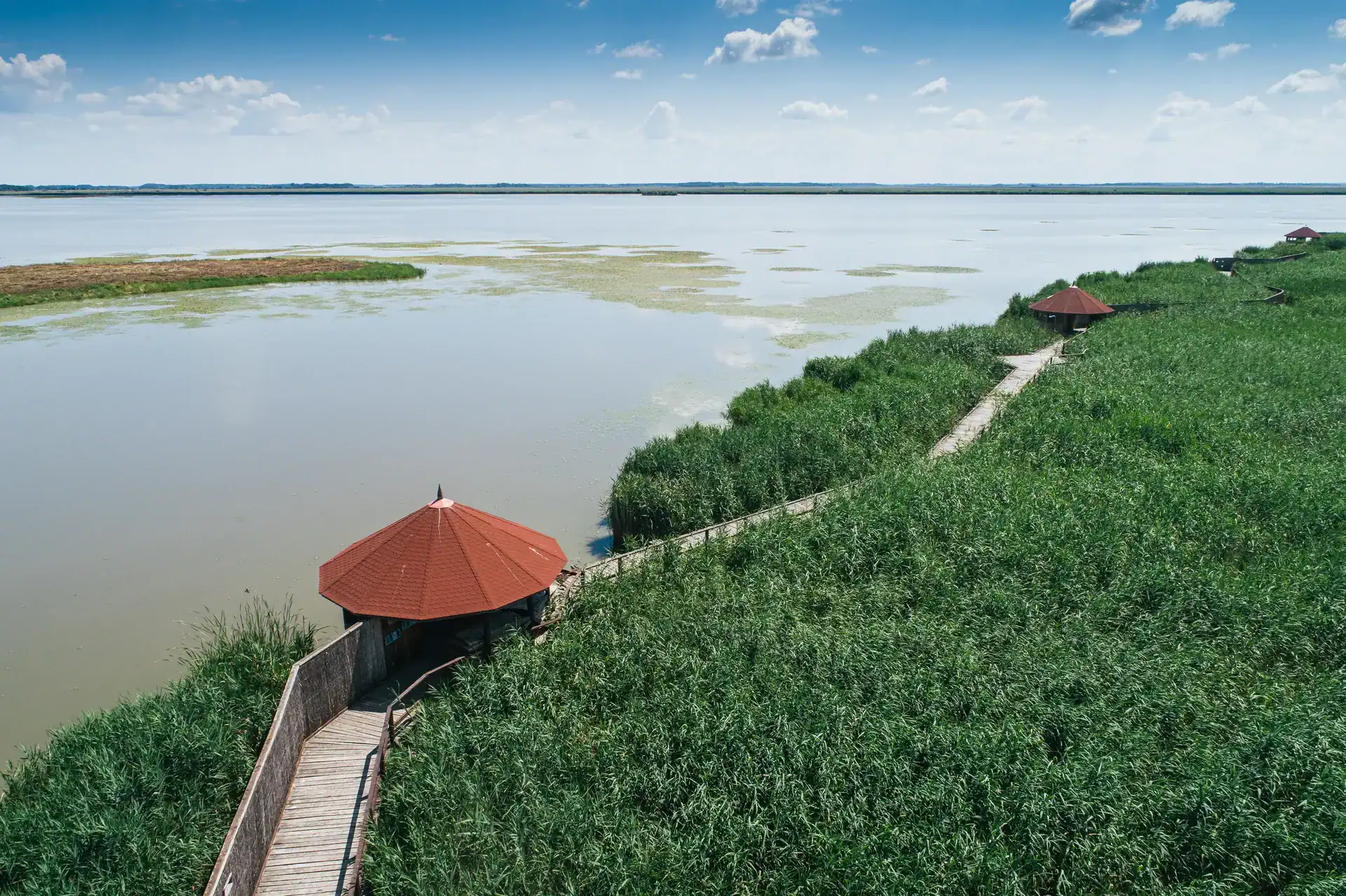 Lake with lush green shoreline and wooden gazebo, perfect for relaxing and enjoying nature in Hungar.