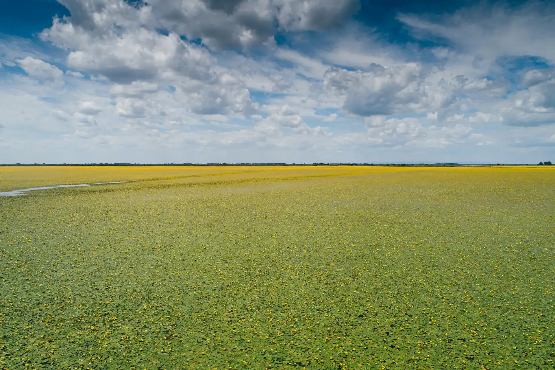 Scenic landscape with a vast green field and a partly cloudy sky in Hungary.