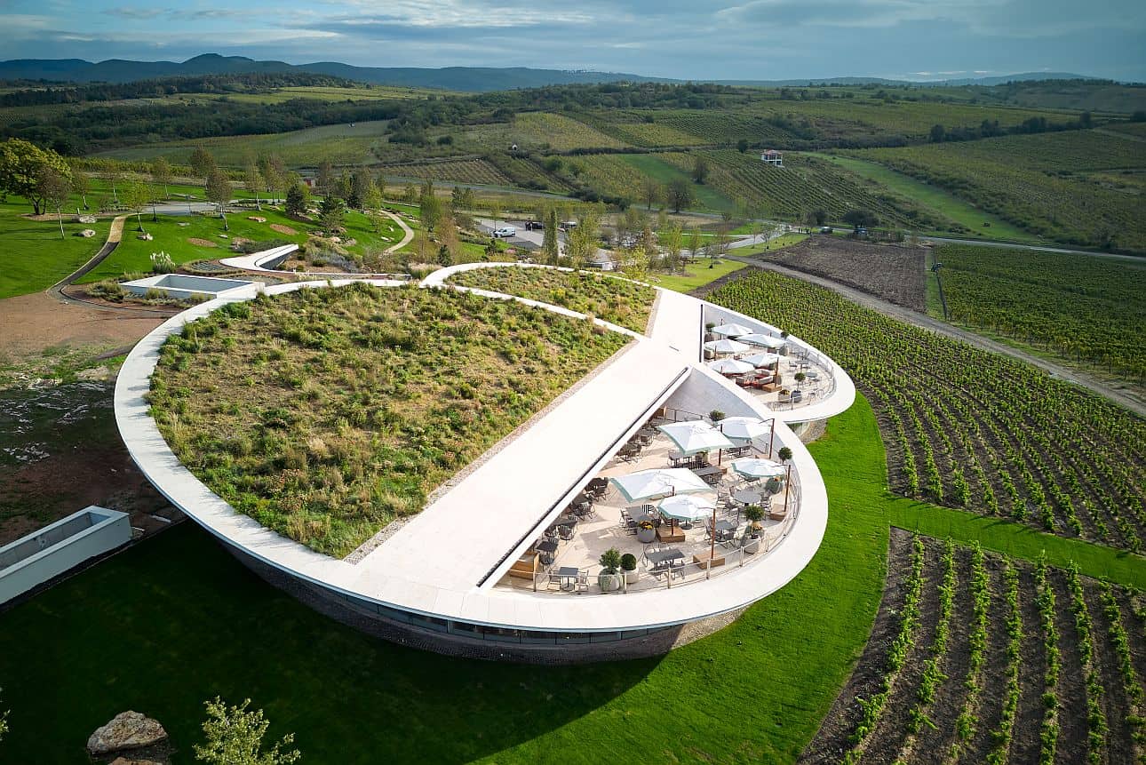 sauska-tokaj-winery-vip-wine-tour-private-transfer