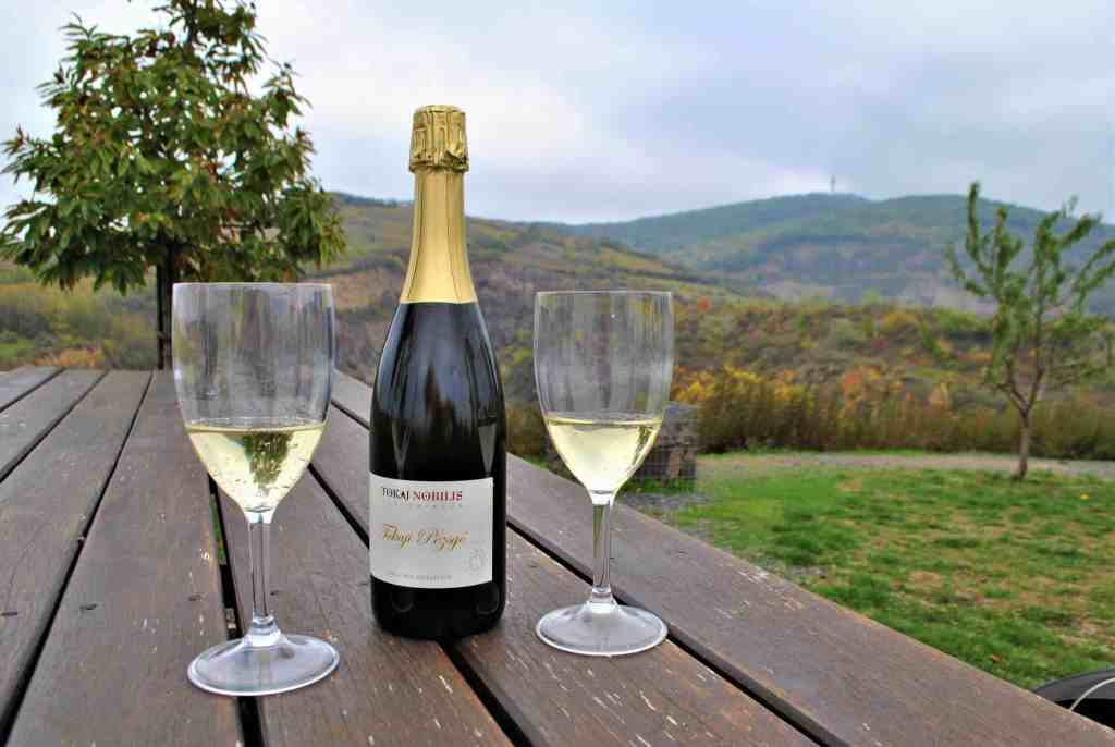 Two sparkling-wine glasses and a bottle on an outdoor wooden table