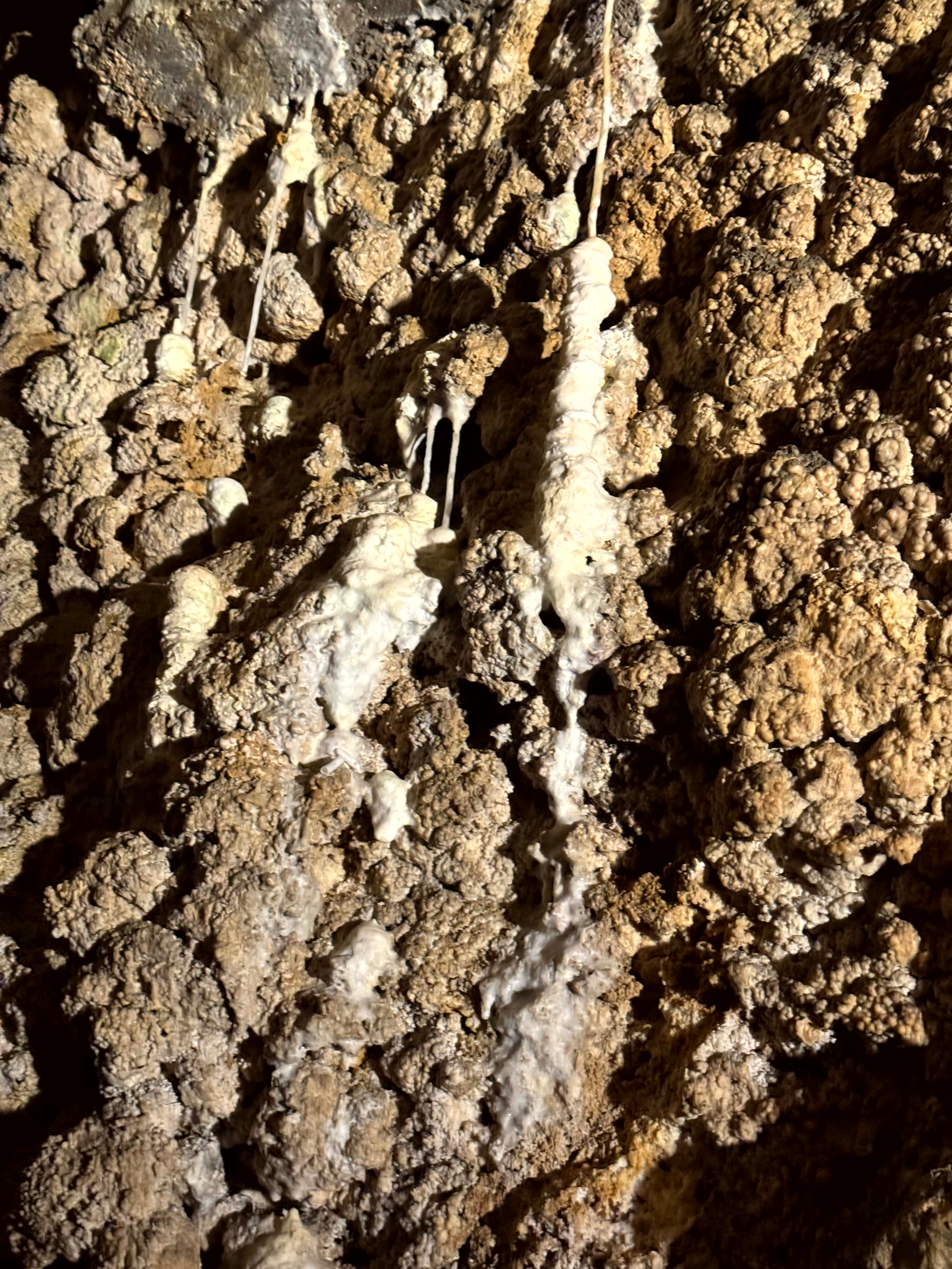 VanBudapest original — Szemlő-hegyi Cave