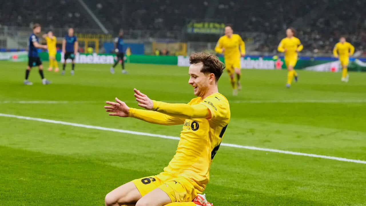 Bodø/Glimt players celebrating on the pitch after a Champions League victory