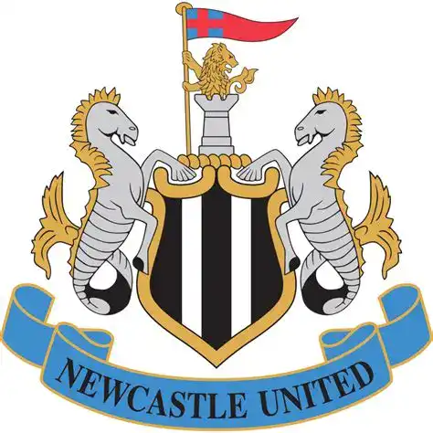 Newcastle United in Champions League action