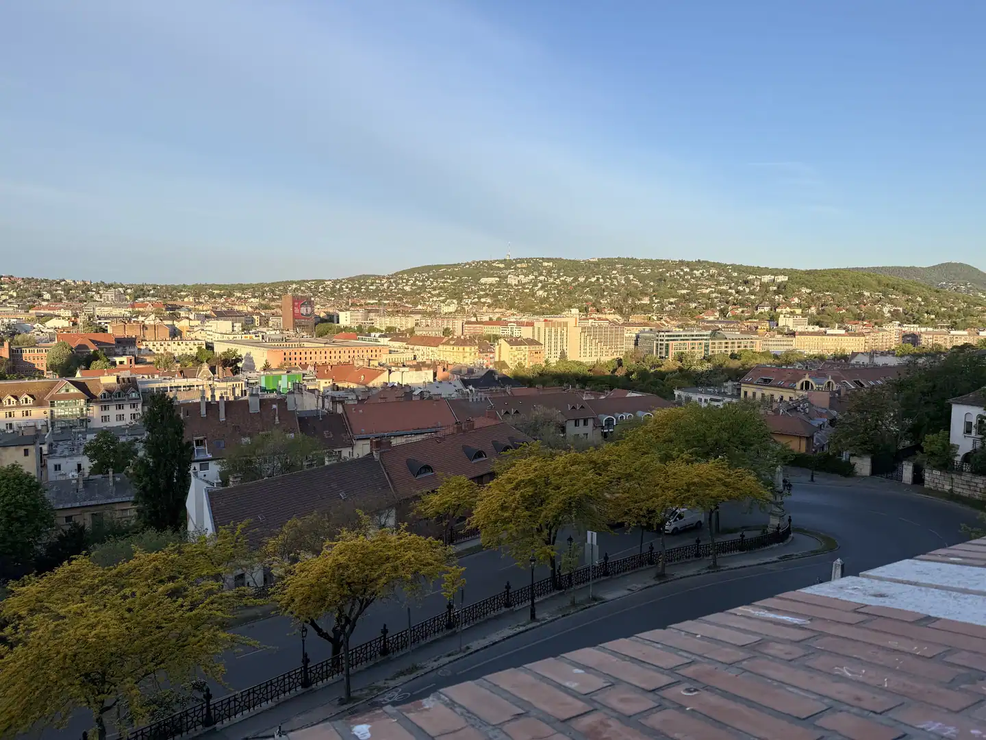 Castle Hill walkway in spring with petals on the cobblestones
