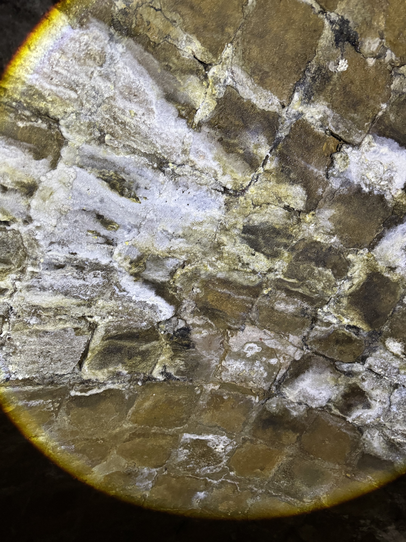 Pale walls studded with mineral detail