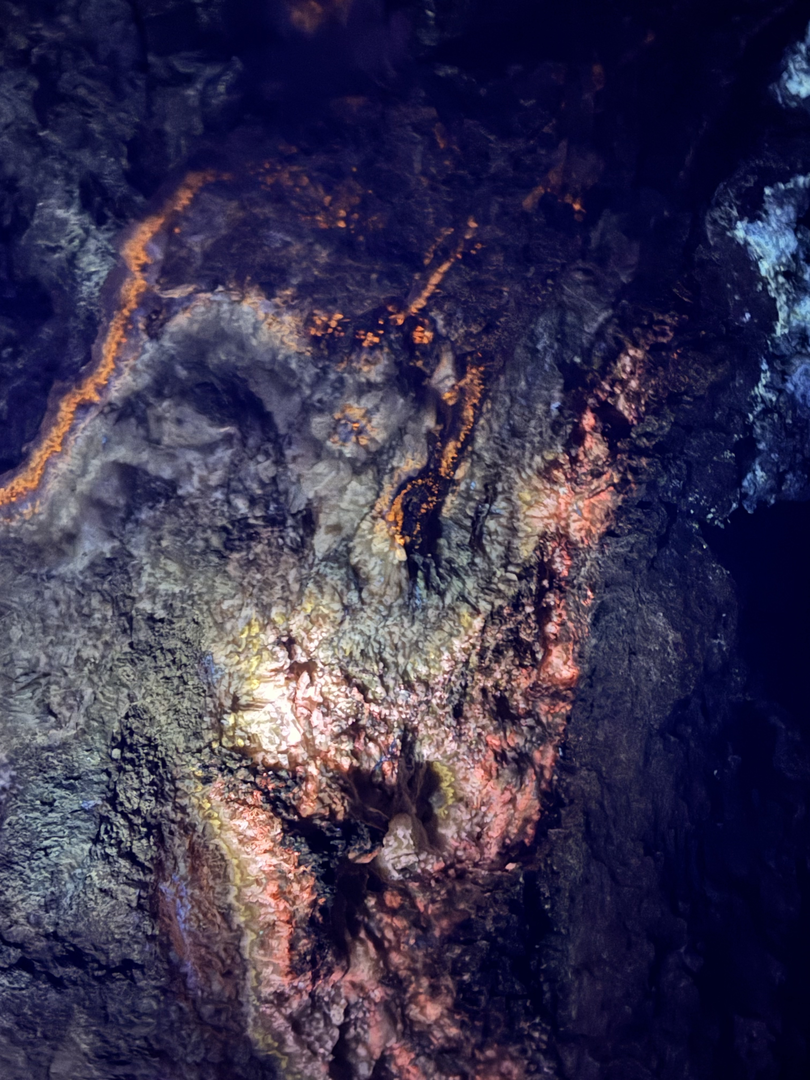 Cold fire in the dark
