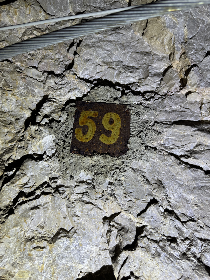 Gallery No. 5, the visitor route