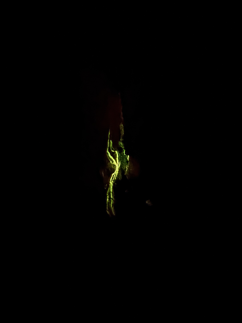 The mine begins to glow