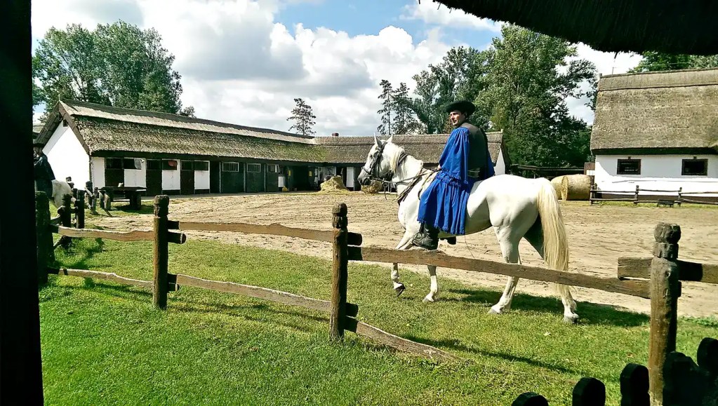 Hungarian Puszta Horse Show | Budapest Day Trip