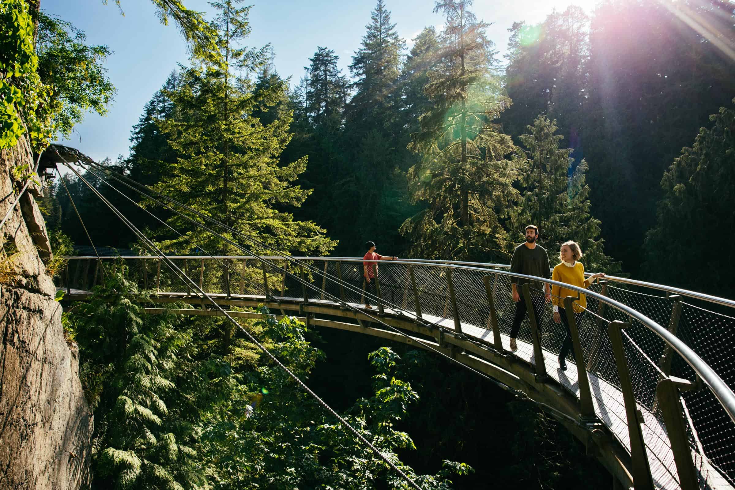 Capilano Suspension Bridge Cliffwalk — private tour Vancouver North Shore
