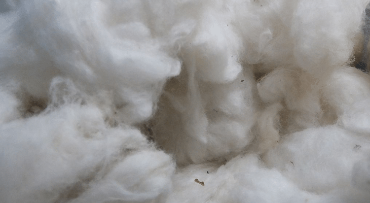 Best cotton for vaping