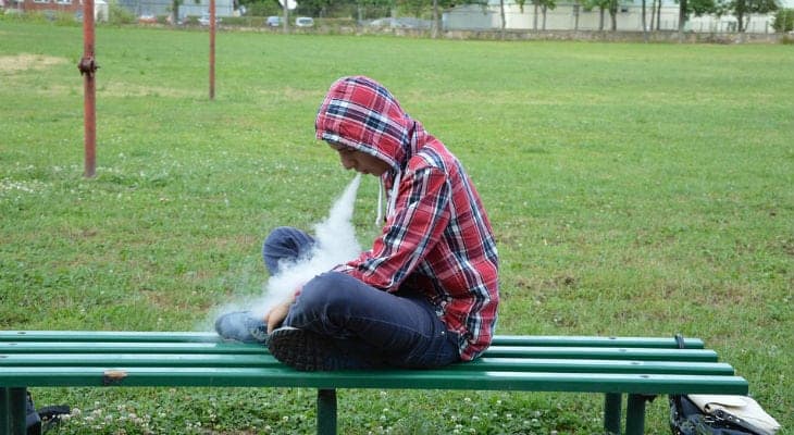 wismec reuleaux rx200 review