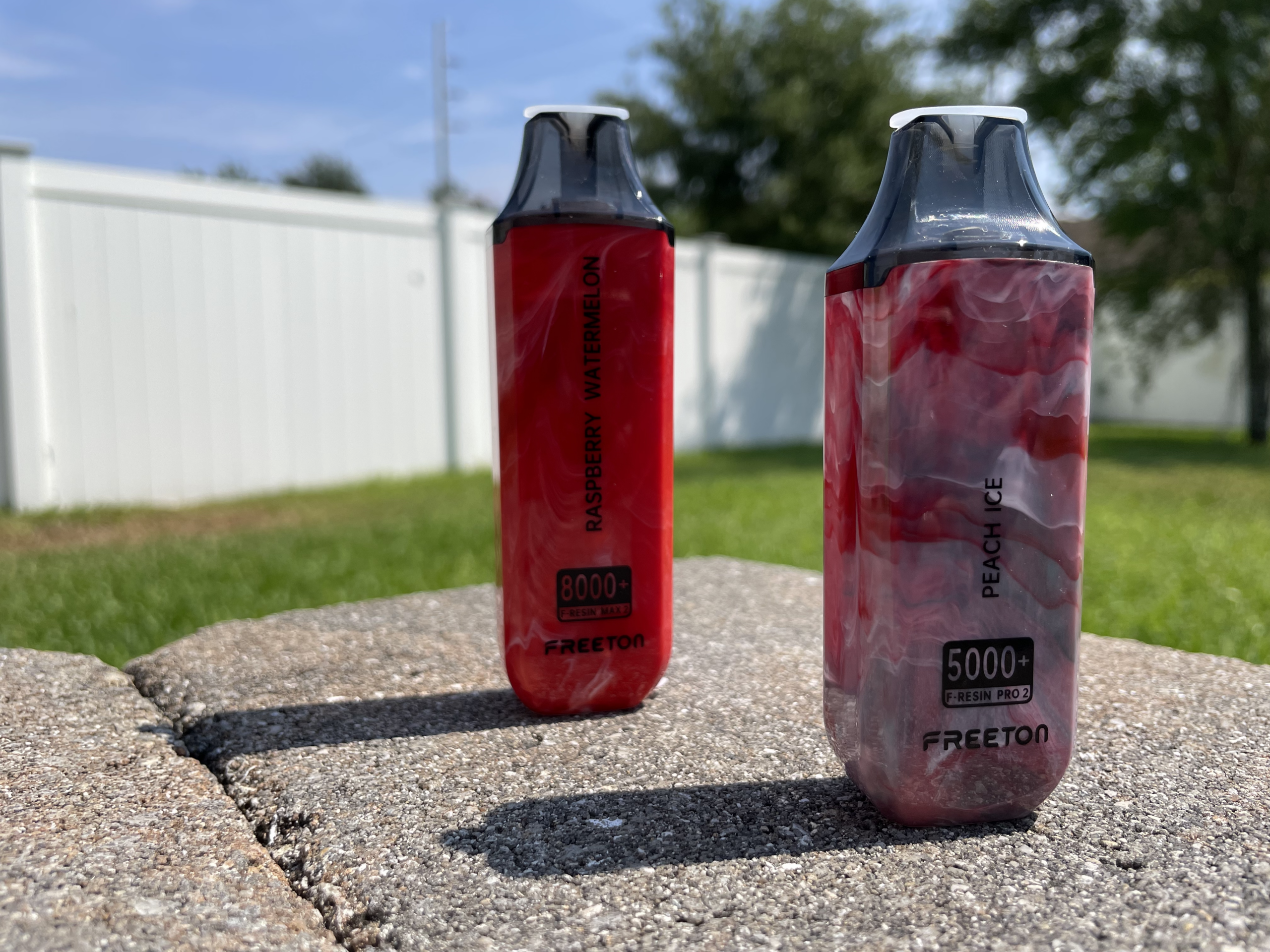 IMG 8006 Freeton F-Resin Pro 2 Max 2 Review