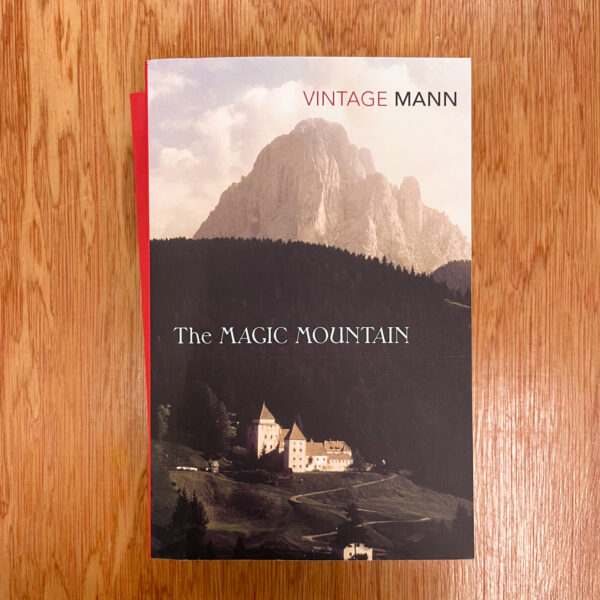 The Magic Mountain  by Thomas Mann