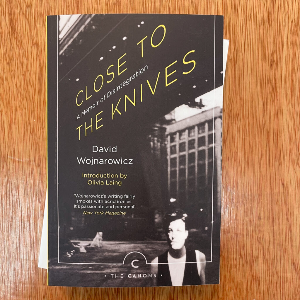 Close to the Knives : A Memoir of Disintegration by David Wojnarowicz