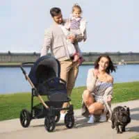 Bebetto Nico sesja 3