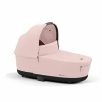 Peach Pink 2025