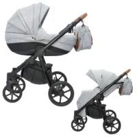 Dynamic Baby Risto 2w1