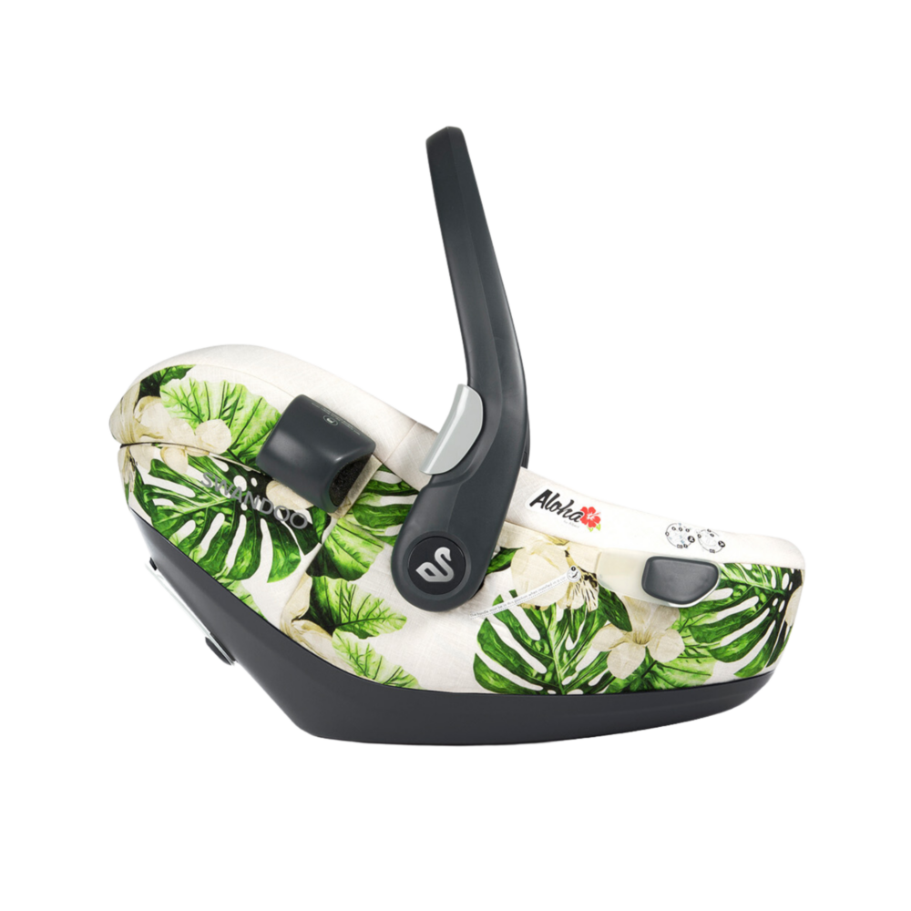 Swandoo Albert Aloha Cover