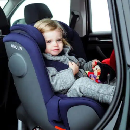 Avova Swan-Fix Lifestyle