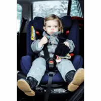 Avova Swan-Fix Lifestyle