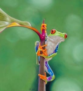 Vibrant pastel artwork of a frog climbing a branch, showcasing winning entries from 2022.