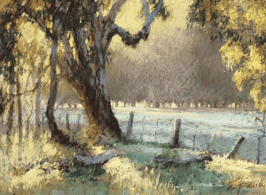 Vibrant pastel artwork from the 2020 exhibition winners at the Pastel Society of Victoria.