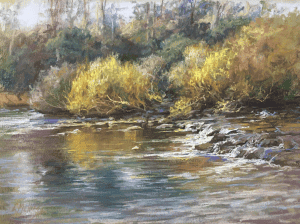 Winning pastel artwork from the 2020 Exhibition Winners by The Pastel Society of Victoria.