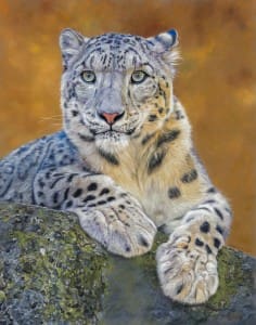 Leopard artwork by Pastel Society of Victoria winner, showcasing detailed pastel techniques.