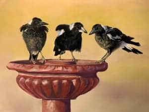 Artistic painting of three black birds on a pedestal, celebrating the 2023 exhibition winners.