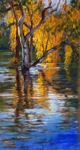 Reflection of autumn trees in water.