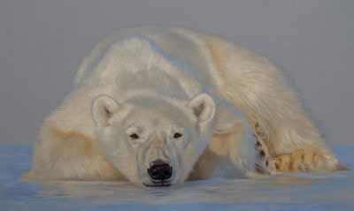 Polar Bear resting on ice, showcasing pastel artwork.