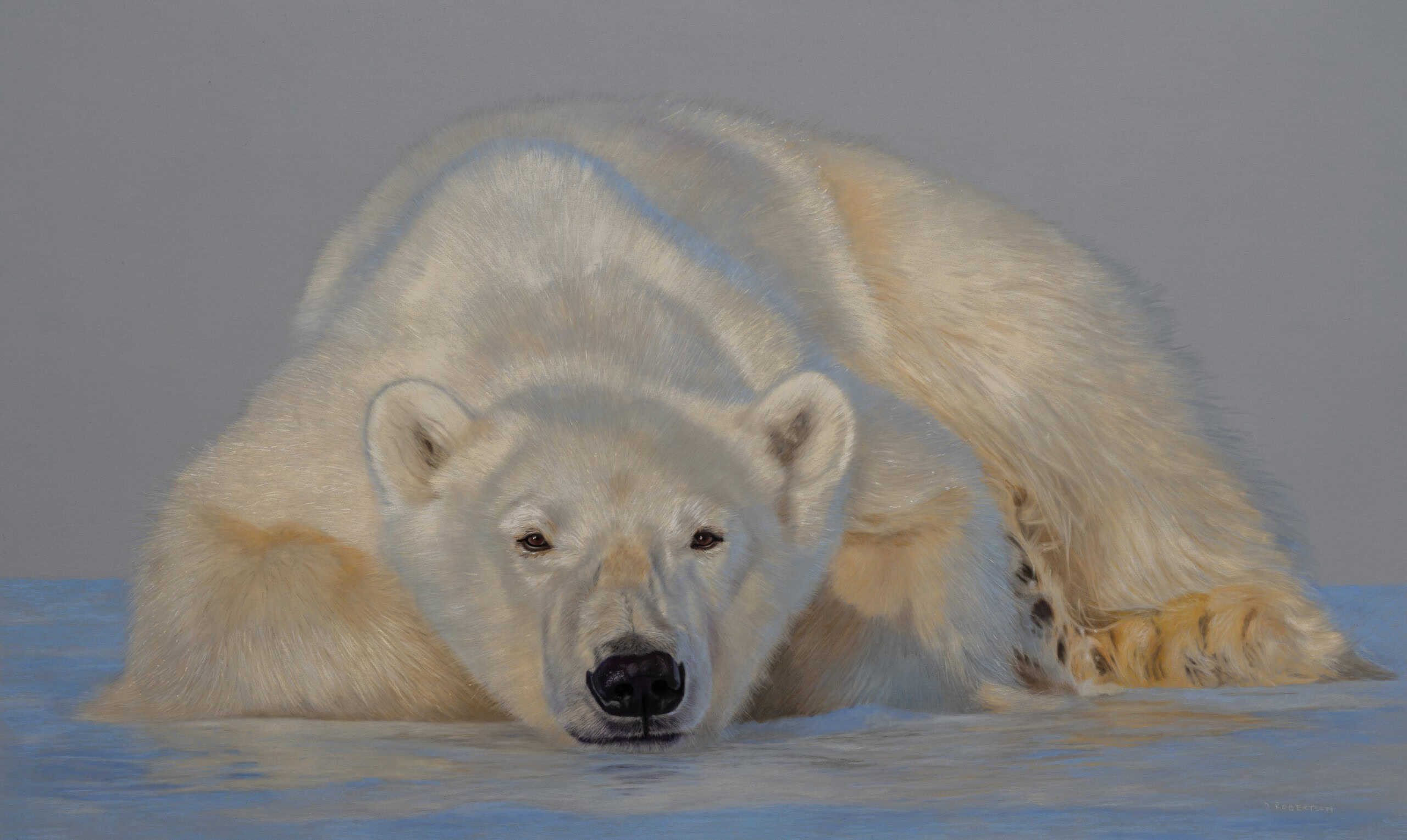 Polar Bear resting on ice, showcasing pastel artwork.