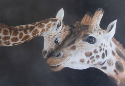 Giraffe and calf pastel artwork from the 2025 Annual Exhibition winners.