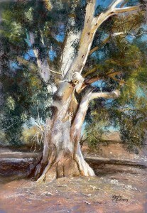 Eucalyptus tree painting showcased at The Pastel Society of Victoria, Australia, exhibition.