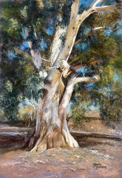 Eucalyptus tree painting showcased at The Pastel Society of Victoria, Australia, exhibition.