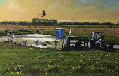 Birds feeding at waterhole, pastel painting by A. Schumann.