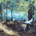 Solving the Mystery of Shadows | Kayleen West