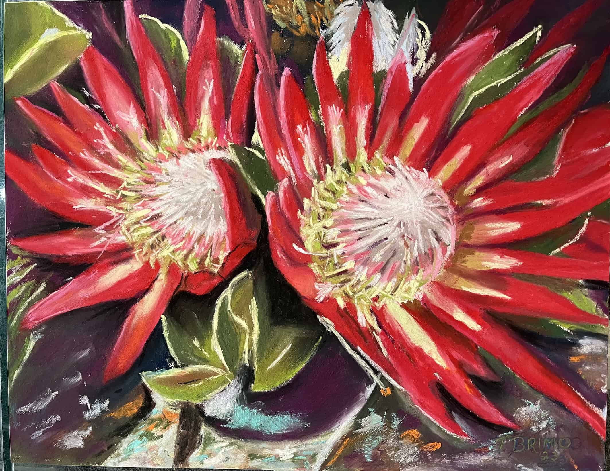 Bright red protea by Teresa Brimo