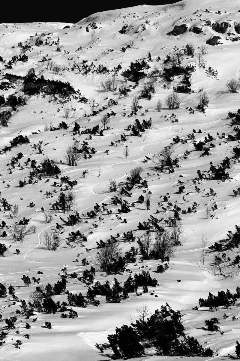 Snow-covered mountain landscape with scattered trees and winding trails.