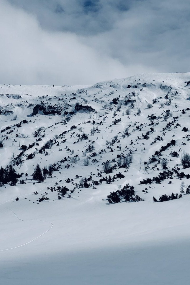 Snowy mountain scene with trees and cloudy sky.