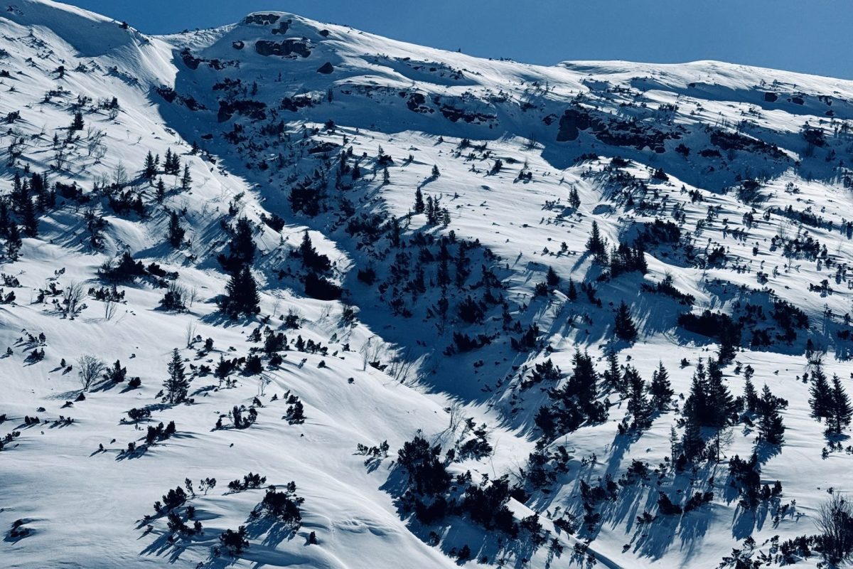 Snow-covered mountain with sparse trees and blue sky.