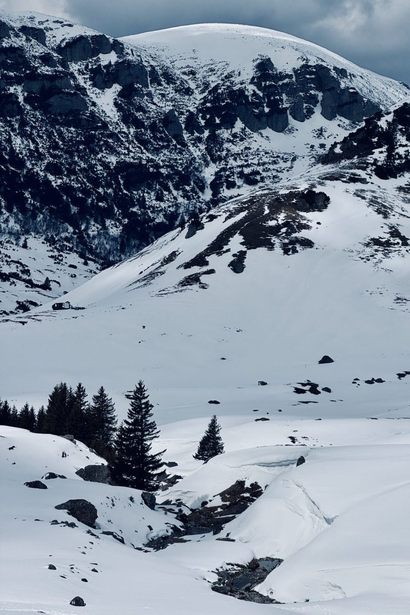 Snow-covered mountain landscape with rocky slopes and pine trees.
